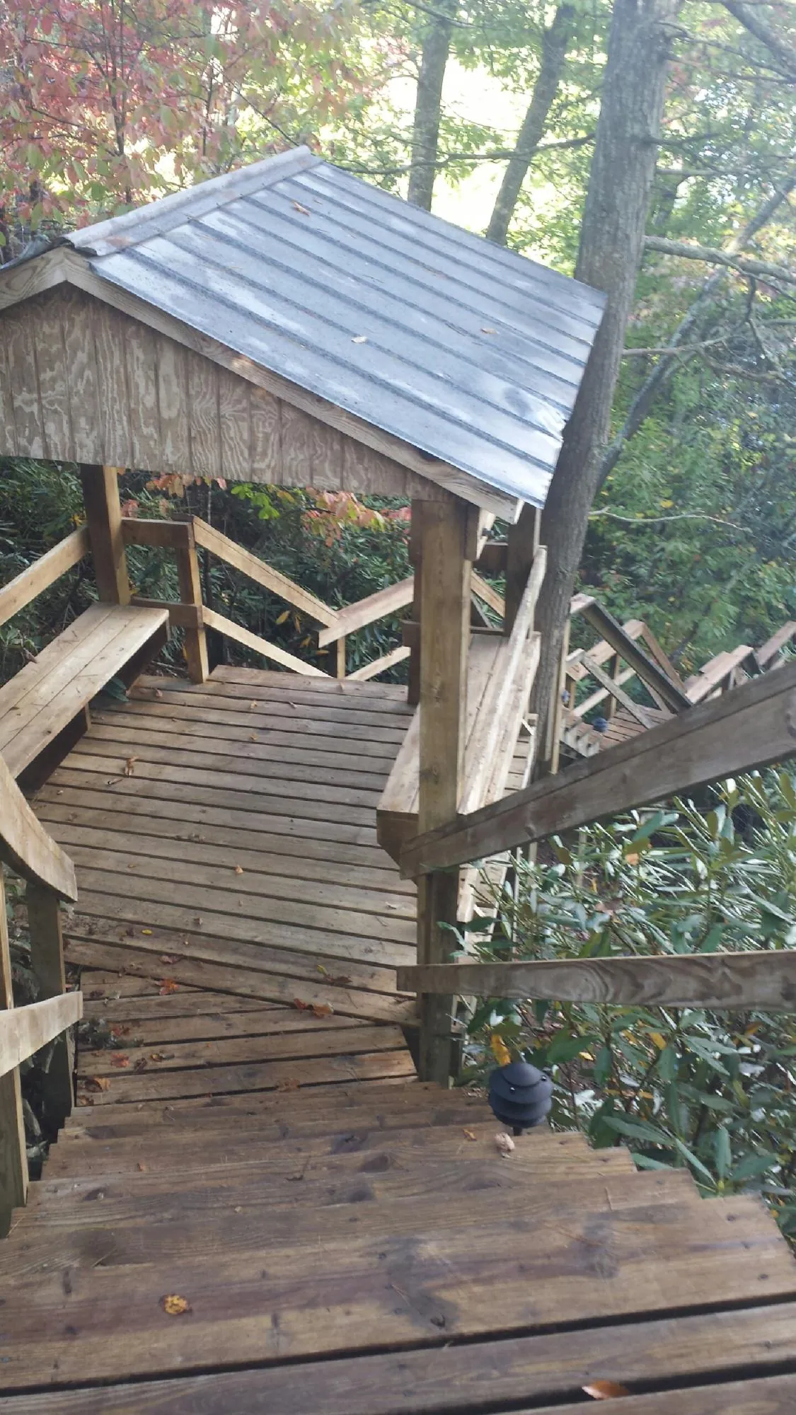 Metal roofed shelter over wooden steps on a wooded walkway — Skylight Repair & Installation work by our crew in River Ranch
